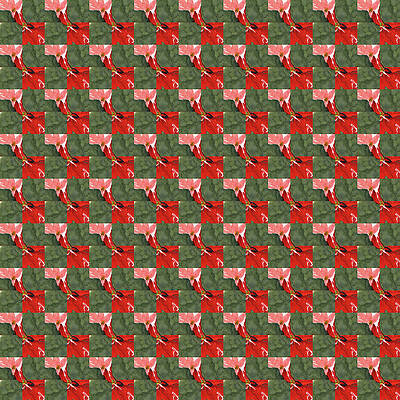 Pattern Mixed Media - Red Poinsettia Checkerboard Gingham by Elizabeth Reich