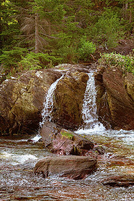 Serene Forest Waterfall Wall Art