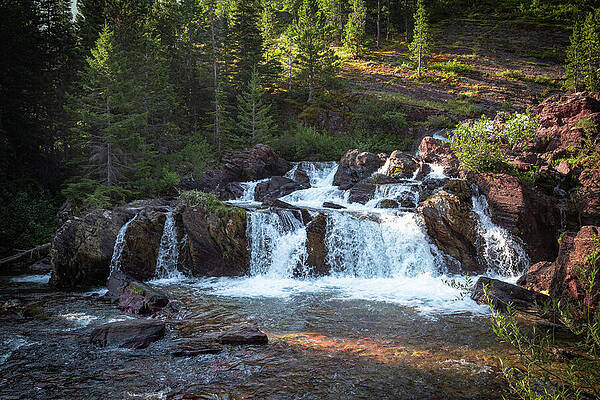 Cascading Forest Waterfall Wall Art