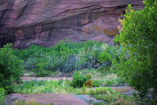 Colorado Photograph - Red Rocks Observation No. 405 by Jonathan Babon