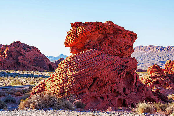 Wall Art featuring the photograph Red Rocks - Valley Of Fire, Nevada by Tatiana Travelways
