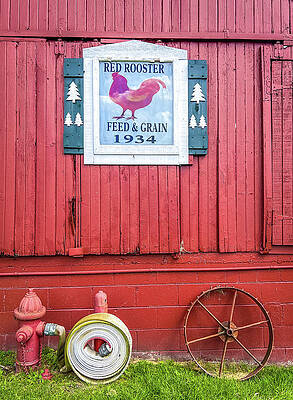 Wall Art featuring the photograph Red Rooster by Lloyd Gillies