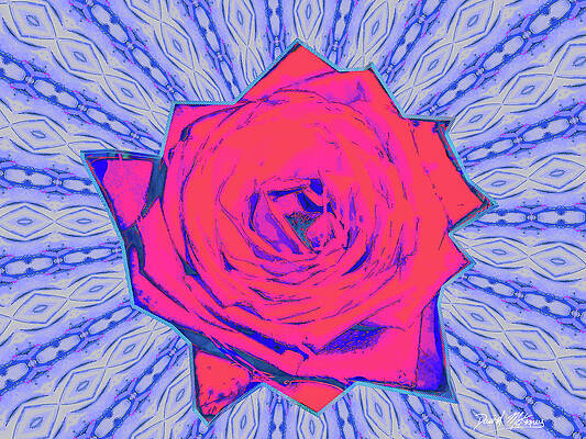 Love Wall Art featuring the digital art Red Rose Abstract On Blue by David McKinney