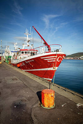 Cork Photograph - Red Sea Goer by Mark Callanan