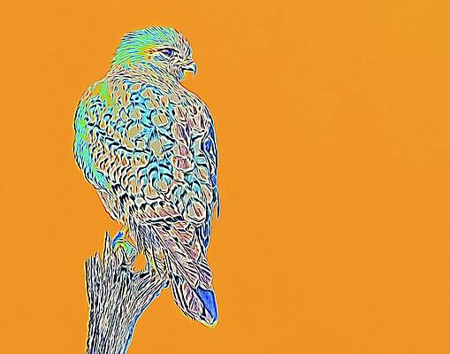 Wall Art featuring the digital art Red Shouldered Hawk Abstract by Rebecca Herranen