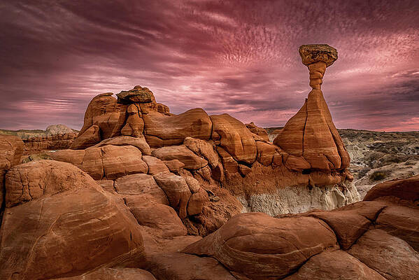 Photograph - Red Sky At Night Toadstools Delight by Matt Halvorson