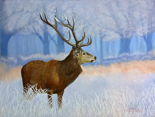 Wall Art featuring the pastel Red Stag 2 by Marlene Little