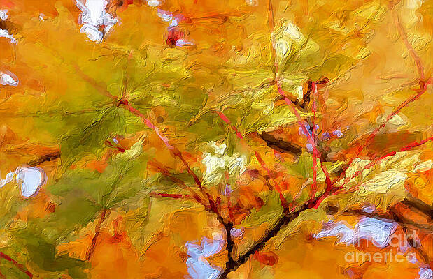 Summer Photograph - Red Stems by Macro Abundance