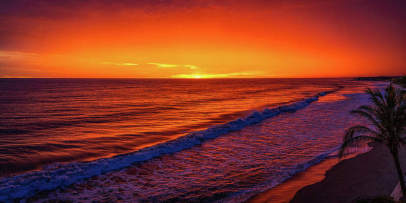 Sunset Wall Art featuring the photograph Red Sunset Mazatlan Sinaloa Mexico by Tommy Farnsworth