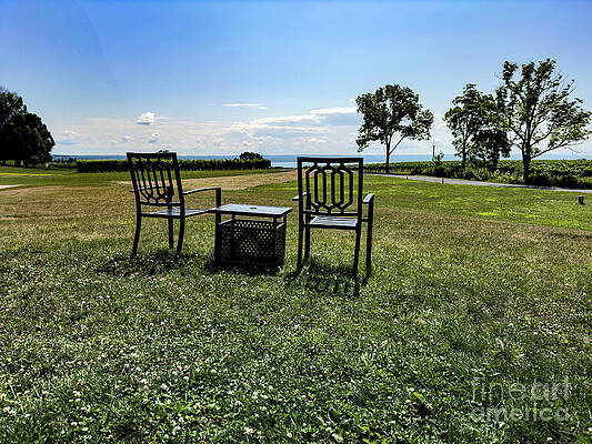 Serene Wall Art featuring the photograph Red Tail Ridge Vineyard Vista by William Norton