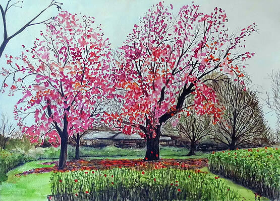 Wall Art featuring the painting Red Trees In Regents Park London UK by Francisco Gutierrez