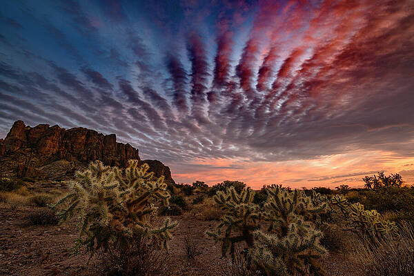 Photograph - Red, White, Blue Over Lost Dutchman by Matt Halvorson