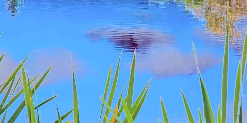 Reflection in a Tranquil Pond Photograph