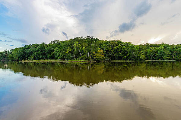 Sky Wall Art featuring the photograph Reflection Of College Creek by David Fountain