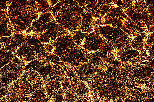 Reflections  by Rick Perkins