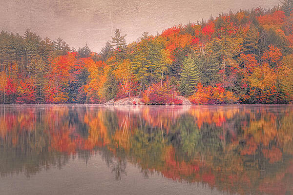 Wall Art featuring the photograph Reflections At Mirror Lake by Penny Polakoff