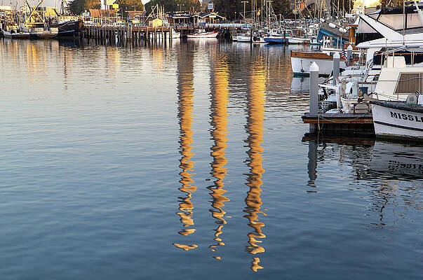 Wall Art featuring the photograph Reflections by Gina Cinardo