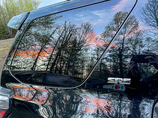 Tree Wall Art featuring the photograph Reflections by Harry Banks