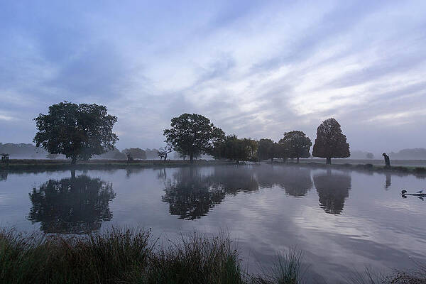 Sky Photograph - Reflections In Bushy by Andrew Lalchan