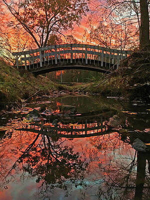 Natural Photograph - Reflections Of An Autumn Sunrise by Greg Lane