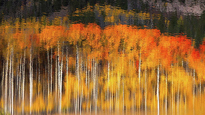Yellow Wall Art featuring the photograph Reflections Of Autumn by Kevin Schwalbe