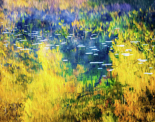 Tree Wall Art featuring the photograph Reflections Of Autumn by Robert Niemeier