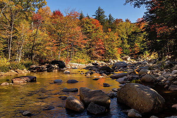 Fall Photograph - Reflections Of Nature 2 by Craig A Walker