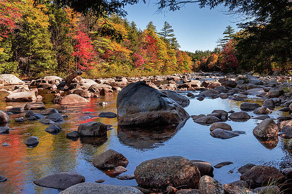 Fall Photograph - Reflections Of Nature by Craig A Walker