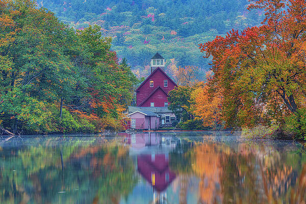 Reflection Photograph - Reflections On Grist Mill Pond by Penny Polakoff