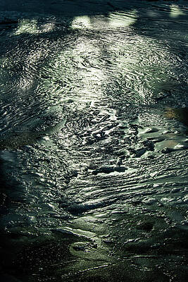 Photograph - Reflections On Ice by Craig A Walker