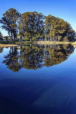 California Wall Art featuring the photograph Reflections On Twin Lakes Santa Cruz California by Tommy Farnsworth