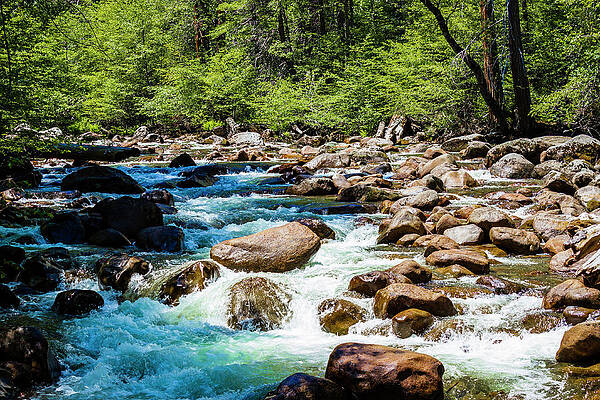 Water Photograph - Refreshing Yosemite Stream by David Fountain