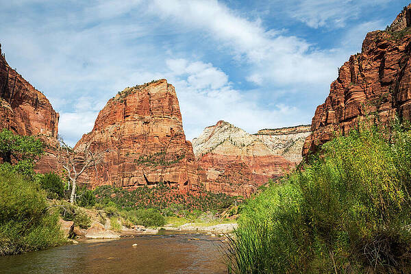 Utah Wall Art featuring the photograph Relax By The Virgin River by Diane Moller