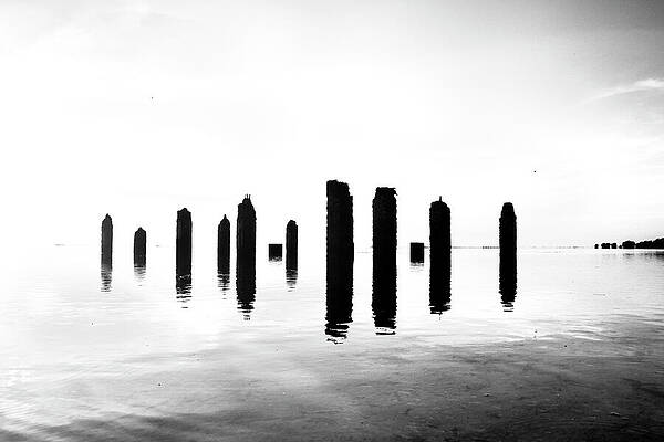 Wall Art featuring the photograph Remnants by Mia Badenhorst