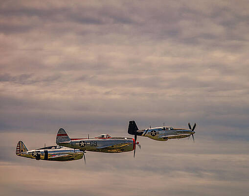 Vintage Photograph - Republic P-47 Thunderbolt - Balls Out by Robert Niemeier
