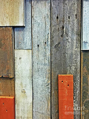 Color Wall Art featuring the photograph Repurposed by Rick Locke - Out of the Corner of My Eye