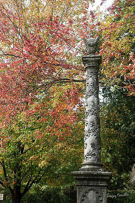 Landscape Wall Art featuring the photograph Requiem, Mount Auburn, Cambridge, MA by Sanjay Marathe