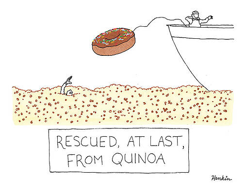 Quinoa Rescue Mission Wall Art