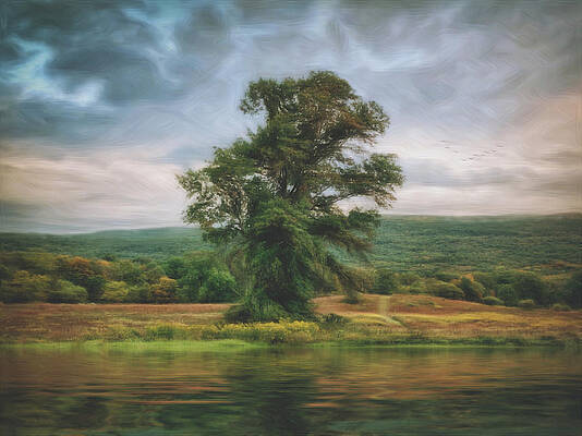 Wall Art featuring the photograph Resplendent Tree by Carol Whaley Addassi