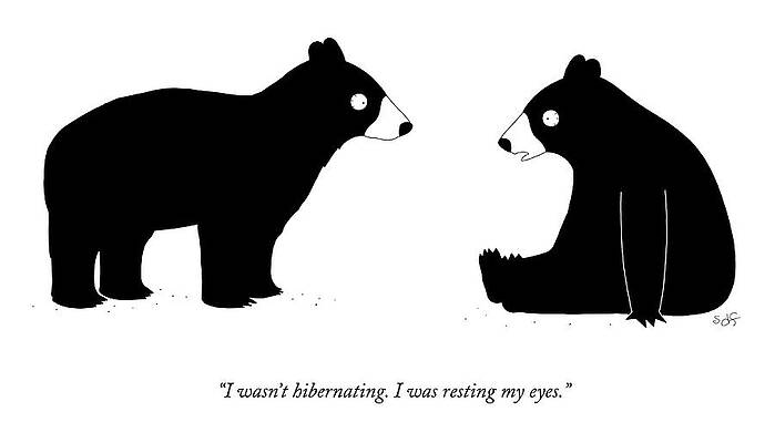 Two Cartoon Bears with Humorous Quote Wall Art