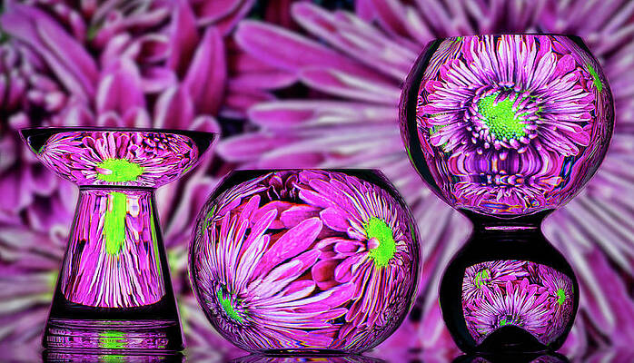 Abstract Wall Art featuring the photograph Restricted Space by Elvira Peretsman