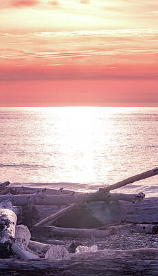 Beautiful Wall Art featuring the photograph Rialto Beach Sunset, Washington by Shannon Williams