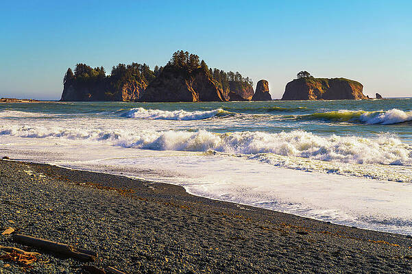 Wall Art featuring the photograph Rialto Beach With Sea Stacks In Olympic National Park, Washington State by Miroslav Liska