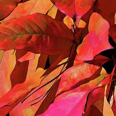 Wall Art featuring the digital art Ribbons by Gina Harrison