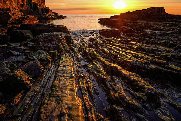 Maine Wall Art featuring the photograph Ribbons Of Gold by Jeff Sinon