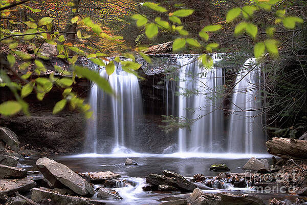 Wall Art featuring the photograph Ricketts Glen - Oneida Waterfall by Rehna George