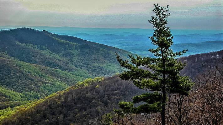 Sky Wall Art featuring the photograph Ridge-and-Valley Appalachians by Louis Dallara