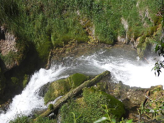 Serene Wall Art featuring the photograph Rifle Falls 13 by Amanda R Wright