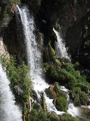 Serene Wall Art featuring the photograph Rifle Falls 18 by Amanda R Wright