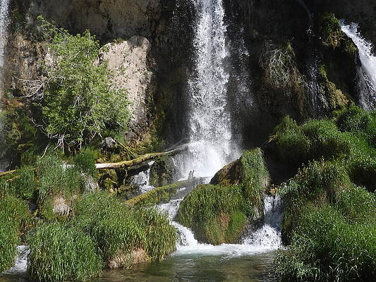 Colorado Wall Art featuring the photograph Rifle Falls 3 by Amanda R Wright
